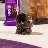 image:imageQuest Nutrition Frosted Protein Cookies Twin Pack Peanut Butter Flavored 1g Sugar 11g Protein 2g Net Carbs Gluten Free 16 CookiesChocolate Cake